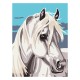 PINTA POR NUMERO 30 x 40 CABALLO BLANCO