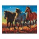 PINTA POR NUMERO 40X50 CABALLOS