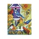 ARTE DIAMANTE PAJAROS DEL JARDIN 40X50