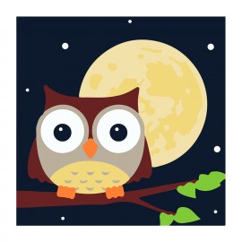 PINTA POR NÚMERO KIDS 21X21  BÚHO Y LUNA